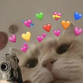 ❤️ emoji Wholesome Cats Telegram sticker 20 of 49