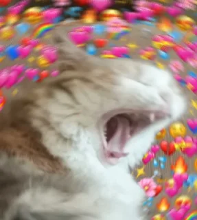 ❤️ emoji Wholesome Cats Telegram sticker 10 of 49