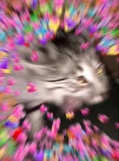 Sticker from Wholesome Cats