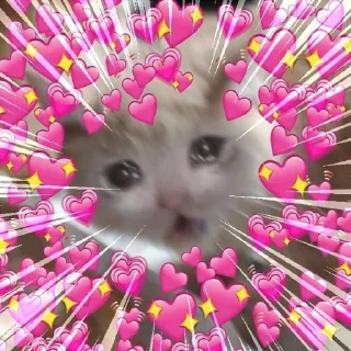 ❤️ emoji Wholesome Cats Telegram sticker 12 of 49