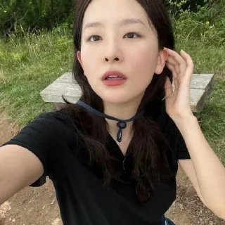 Sticker from seulgi