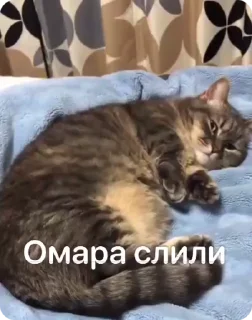 🚽 emoji Омар чурка Telegram sticker 21 of 39