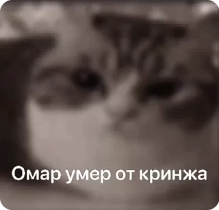 🪦 emoji Омар чурка Telegram sticker 12 of 39