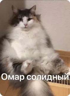 😎 emoji Омар чурка Telegram sticker 8 of 39