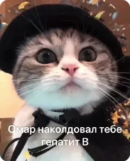 🧙‍♀️ emoji Омар чурка Telegram sticker 15 of 39