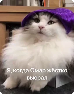 💩 emoji Омар чурка Telegram sticker 13 of 39