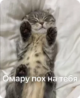 😑 emoji Омар чурка Telegram sticker 14 of 39