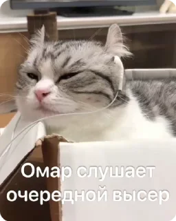 🎧 emoji Омар чурка Telegram sticker 10 of 39