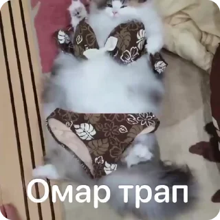 👙 emoji Омар чурка Telegram sticker 7 of 39