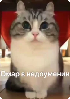 🤨 emoji Омар чурка Telegram sticker 16 of 39