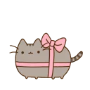🐱 emoji Pusheendue Telegram sticker 8 of 25