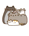 🐱 emoji Pusheendue Telegram sticker 18 of 25