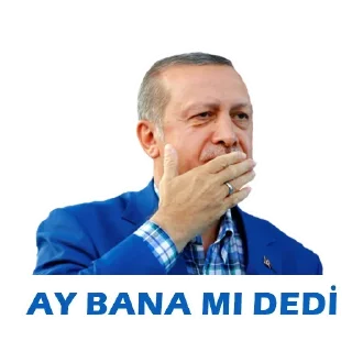 🤩 emoji Serhat'ın Arak Paketi @cikartmaaraklayicibot Telegram sticker 9 of 69