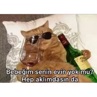 🤩 emoji Serhat'ın Arak Paketi @cikartmaaraklayicibot Telegram sticker 16 of 69