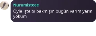 🌟 emoji GİZLİ BAHÇE pack by @QuotLyBot Telegram sticker 3 of 74