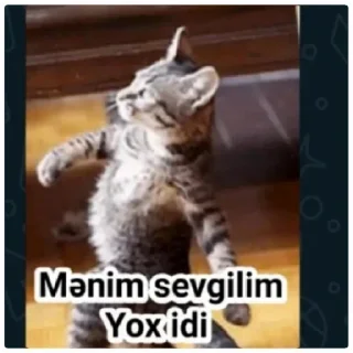 Sticker from @shlimazlquen @AsenaUserBot Paketi 1