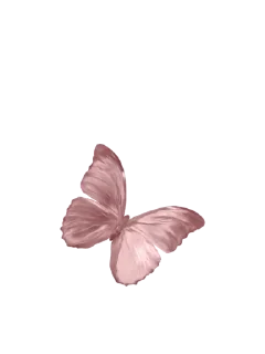 🌸 emoji @lou2lou2aa MIXED Telegram sticker 12 of 24