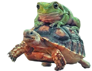 🐢 emoji BOBPACK III Telegram sticker 13 of 48