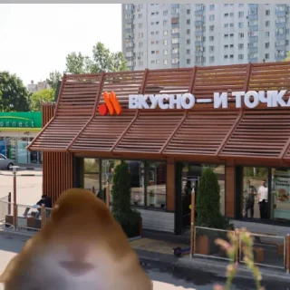 🐹 emoji хомяк @stickermily Telegram sticker 15 of 38