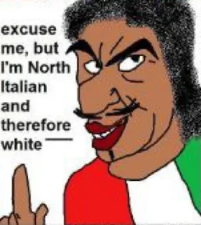 🇮🇹 emoji we are whites Telegram sticker 5 of 27