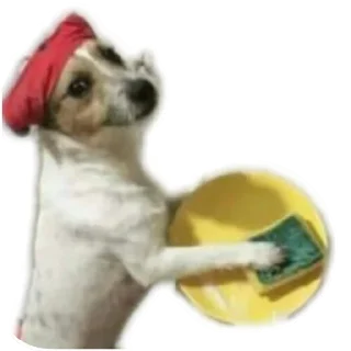 🐶 emoji No funny funny Telegram sticker 10 of 17