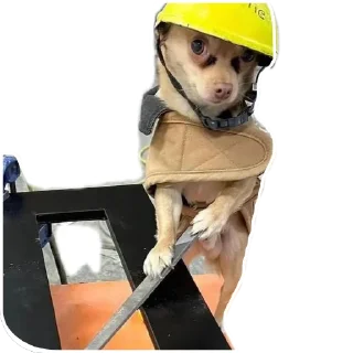 👍 emoji No funny funny Telegram sticker 6 of 17