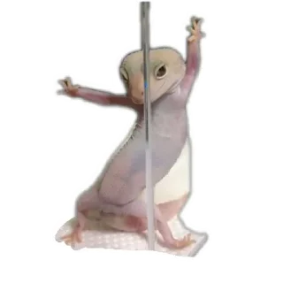 🎒 emoji No funny funny Telegram sticker 13 of 17