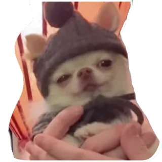 👍 emoji No funny funny Telegram sticker 5 of 17