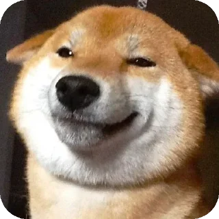 👍 emoji Шиба-иночки (≡^∇^≡) Telegram sticker 15 of 46