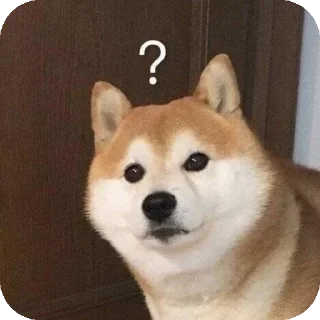 👍 emoji Шиба-иночки (≡^∇^≡) Telegram sticker 5 of 46