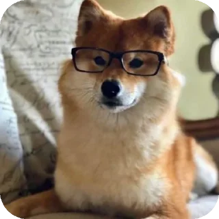 👍 emoji Шиба-иночки (≡^∇^≡) Telegram sticker 20 of 46