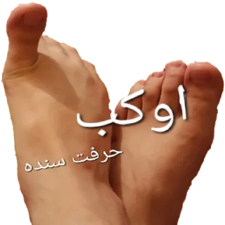 Sticker from WTF