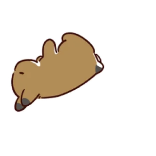 🐰 emoji 提摩西小队 Telegram sticker 5 of 50