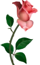 🌹 emoji Melody Telegram sticker 18 of 76