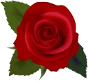 🌹 emoji Melody Telegram sticker 16 of 76