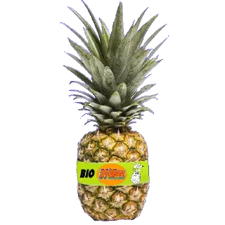 🍍 emoji @STIKERFORALL 🏴󠁧󠁢󠁥󠁮󠁧󠁿SHOPPING LIST Telegram sticker 7 of 100