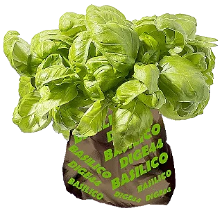 🌱 emoji @STIKERFORALL 🏴󠁧󠁢󠁥󠁮󠁧󠁿SHOPPING LIST Telegram sticker 13 of 100