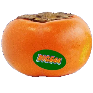 🌳 emoji @STIKERFORALL 🏴󠁧󠁢󠁥󠁮󠁧󠁿SHOPPING LIST Telegram sticker 17 of 100