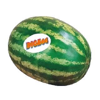 🍉 emoji @STIKERFORALL 🏴󠁧󠁢󠁥󠁮󠁧󠁿SHOPPING LIST Telegram sticker 8 of 100