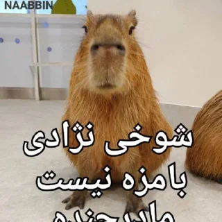 😂 emoji ⚔obash⚔ @goats_meme Telegram sticker 9 of 120