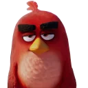 Sticker from Angry Birds