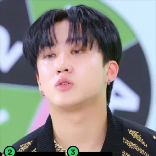 Sticker from SKZ SPOTIFY @SKZSTICKERS