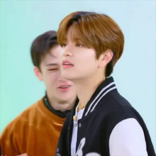 Sticker from SKZ SPOTIFY @SKZSTICKERS