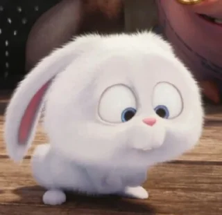 😶 emoji Snowball Telegram sticker 11 of 15