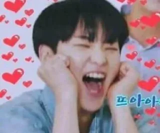 Sticker from seventeen