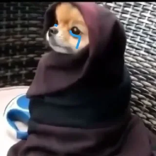 😭 emoji Robe Tristi (@Ocram0 @OLBorder) Telegram sticker 8 of 21