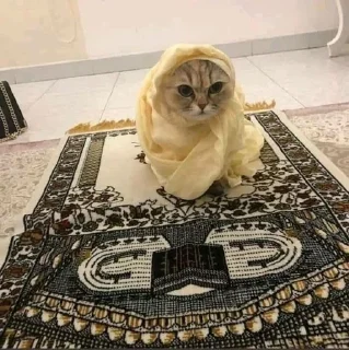 🌟 emoji Islam🕋💓 Telegram sticker 11 of 16