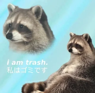 😔 emoji Raccoon Telegram sticker 11 of 120