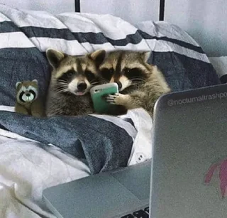 📺 emoji Raccoon Telegram sticker 9 of 120