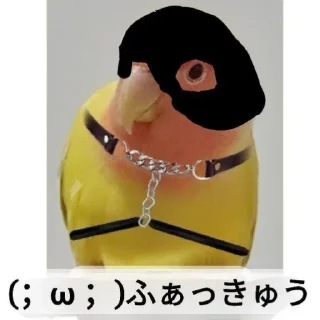 Sticker from 透你伯Блядь